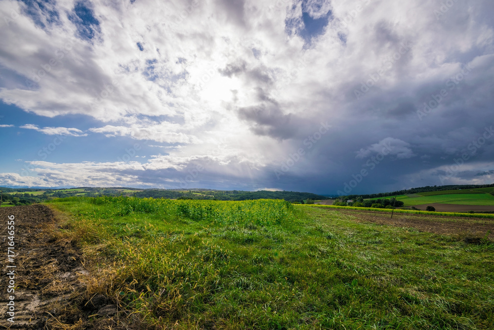 The green fields after a stormy summer rain The green fields after a stormy summer rain
