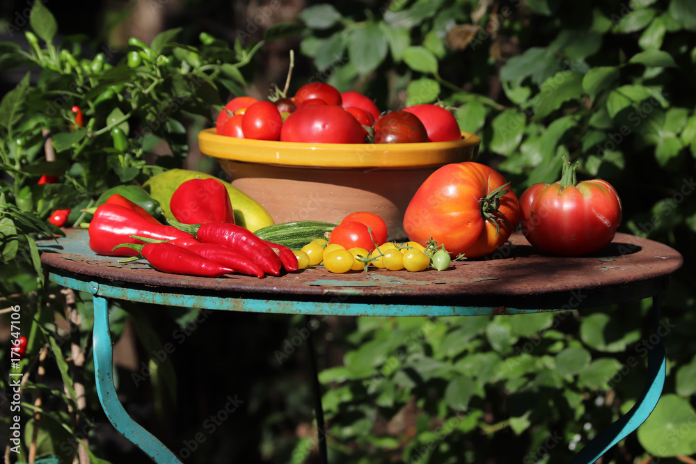 Fotografie Paprika und Tomaten