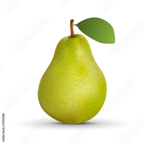 Fotografie, Obraz realistic pear isolated on white background. Vector illustration