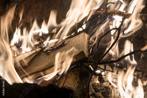 Burning journal or book in campfire photo
