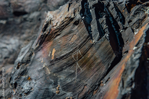 Runic Staff Scratched on the Rough Surface Stone