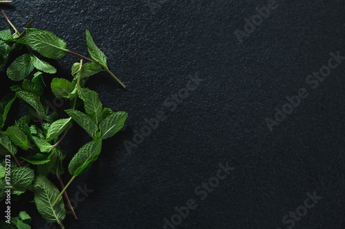 Basil herb on black background