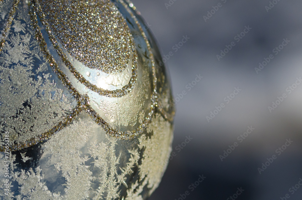 Close Look at a Frozen Golden Outdoor Christmas Ornament