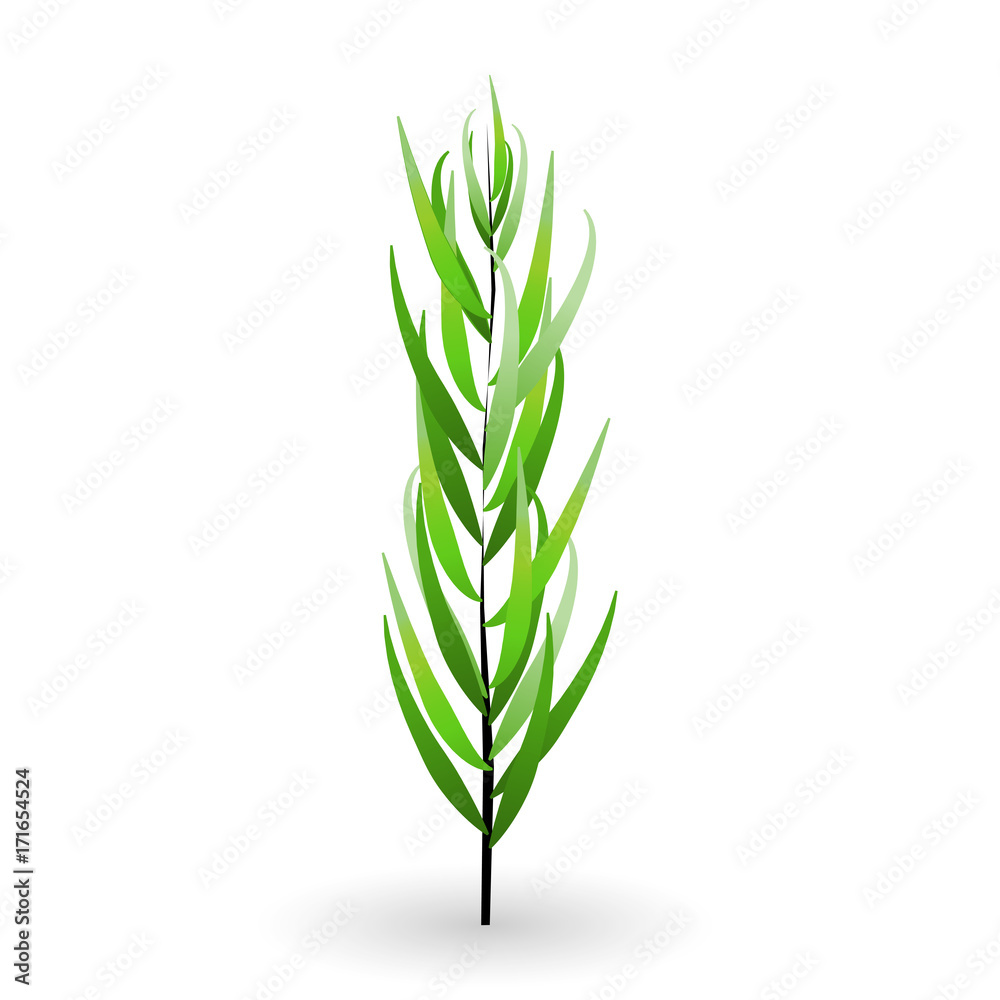 Naklejka premium Colorful naturalistic green leaves on branch. Vector Illustration.