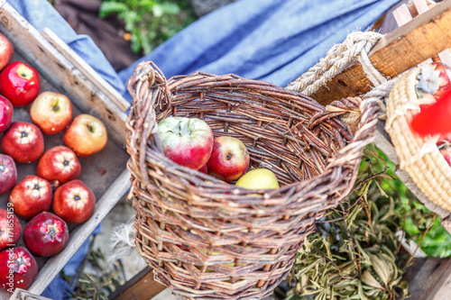 Basket with apples hanging from a stick