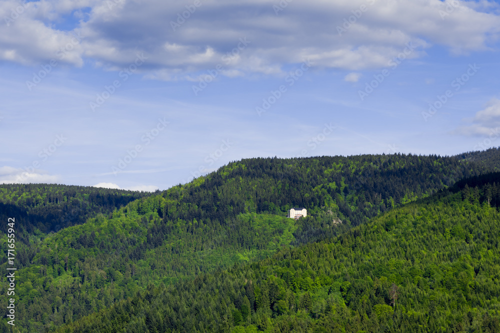 Single Building in a Forest ( Black Forest Region )