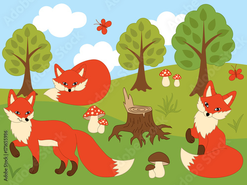 Vector Cartoon Foxes