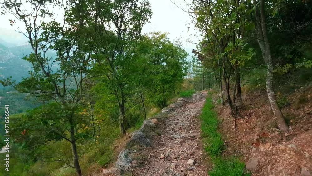 POV Point of View of Walking, Hiking, Trekking on Mountain Trail Path. French Alps Green Nature - 4K Video
POV Point of View of Walking, Hiking, Trekking on Mountain Trail Path. French Alps Green Nature - 4K Video