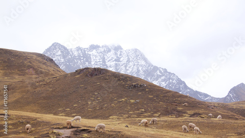 Vista nevado Ausangate