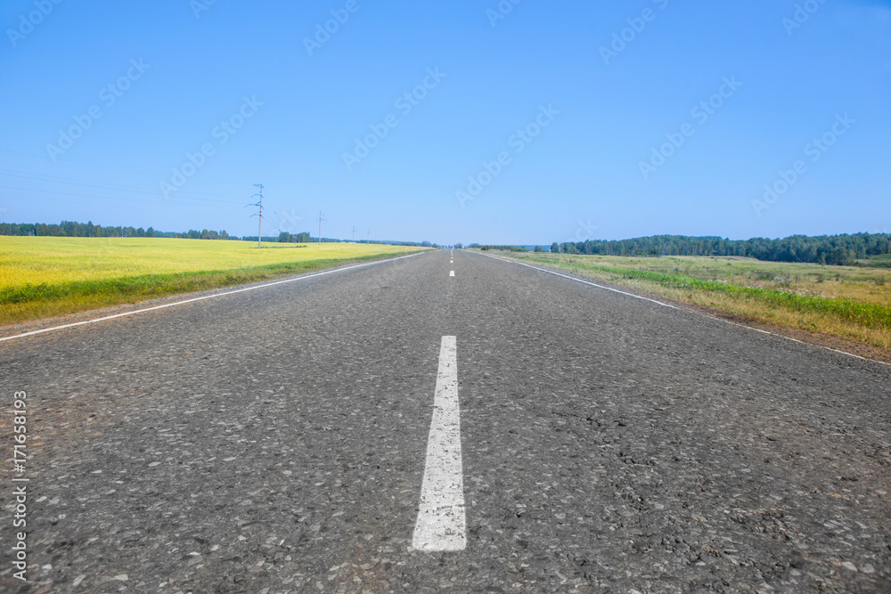 Fototapeta premium asphalt road along summer fields