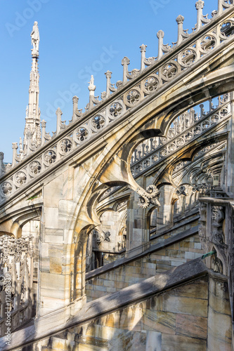 Duomo details, Milan, Italy