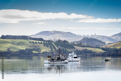 Harbour of Mangonui, New Zealand