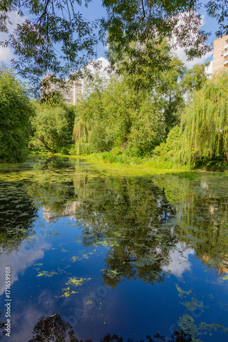 Abandoned wild pond with mud in the middle of the city park
