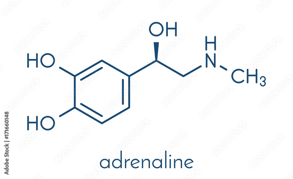 Adrenaline (adrenalin, epinephrine) neurotransmitter molecule. Used as drug in treatment of anaphylaxis Skeletal formula.