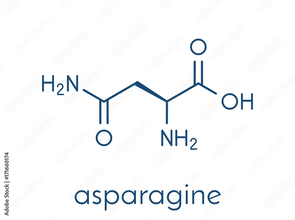 Asparagine (L-asparagine, Asn, N) amino acid molecule. Skeletal formula. Asparagine (L-asparagine, Asn, N) amino acid molecule. Skeletal formula.