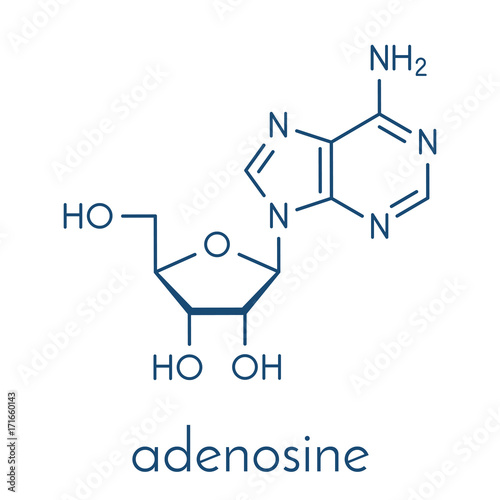 Adenosine (Ado) purine nucleoside molecule. Important component of ATP, ADP, cAMP and RNA. Also used as drug. Skeletal formula. photo