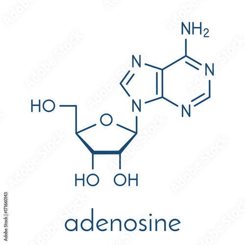Adenosine (Ado) purine nucleoside molecule. Important component of ATP, ADP, cAMP and RNA. Also used as drug. Skeletal formula.