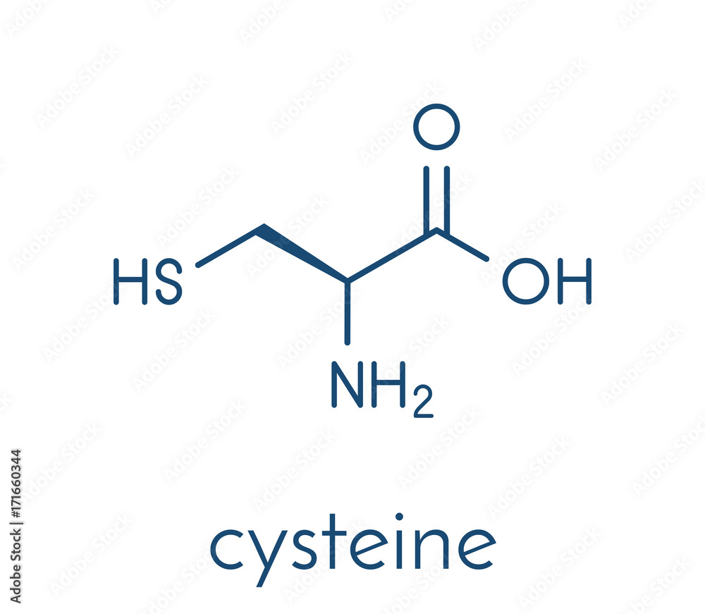 Cysteine (l-cysteine, Cys, C) amino acid molecule. Skeletal formula. Cysteine (l-cysteine, Cys, C) amino acid molecule. Skeletal formula.