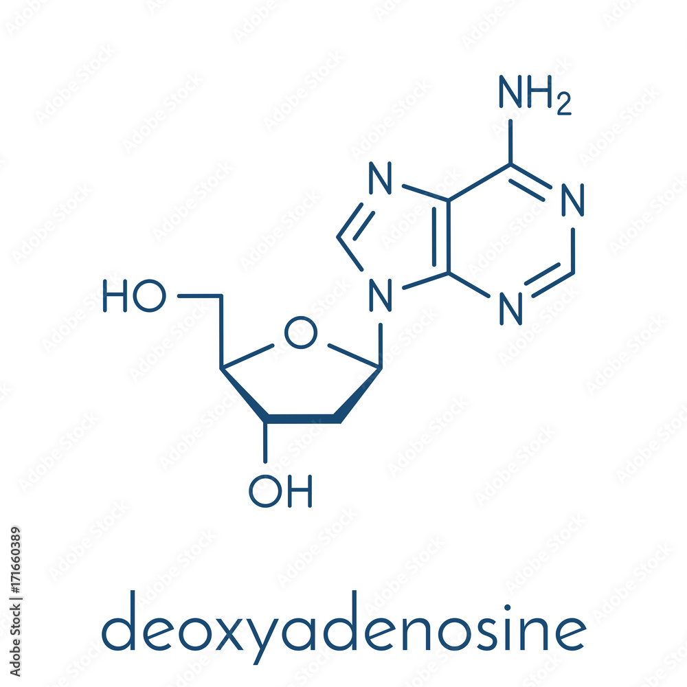 Deoxyadenosine (dA) nucleoside molecule. DNA building block. Skeletal formula.