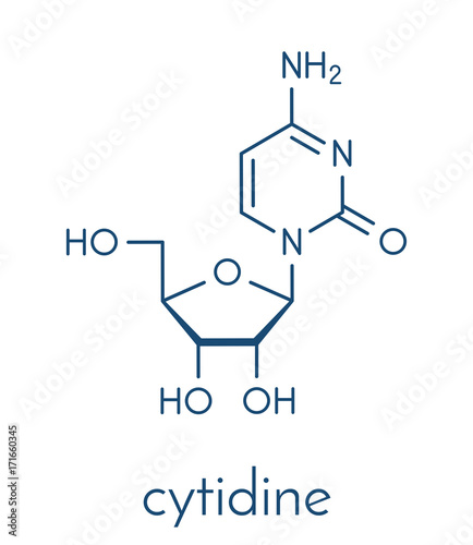 Cytidine RNA building block molecule. Skeletal formula. photo