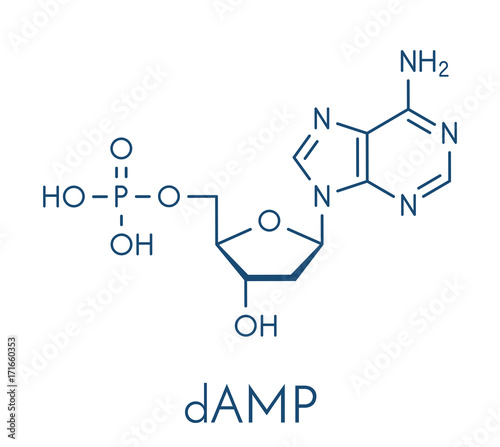 Deoxyadenosine monophosphate (dAMP) nucleotide molecule. DNA building block. Skeletal formula.