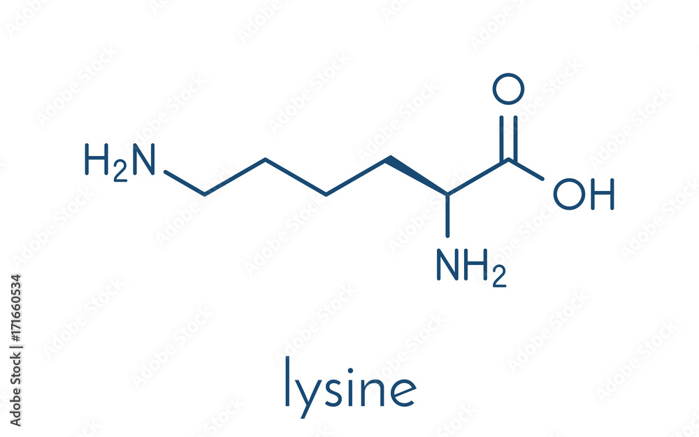 Lysine (l-lysine, Lys, K) amino acid molecule. Skeletal formula. Lysine (l-lysine, Lys, K) amino acid molecule. Skeletal formula.