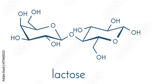 Lactose milk sugar molecule. Skeletal formula.