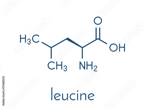 Leucine (l-leucine, Leu, L) amino acid molecule. Skeletal formula. photo