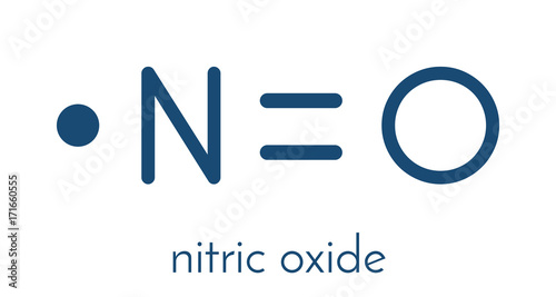 Nitric oxide (NO) free radical and signaling molecule. Skeletal formula.