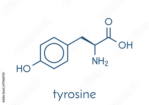 Tyrosine (l-tyrosine, Tyr, Y) amino acid molecule. Skeletal formula.