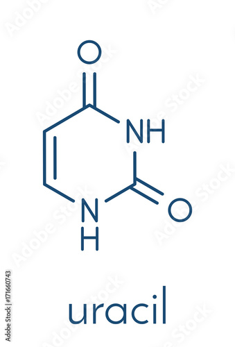 Uracil (U) nucleobase molecule. Present in ribonucleic acid (RNA). Skeletal formula.
