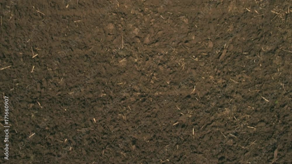 aerial shot of cultivated field aerial shot of cultivated field