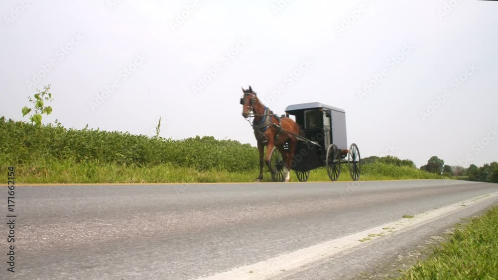 An Amish horse and buggy carriage drives down a lonely country road in Lancaster County of Pennsylvania.