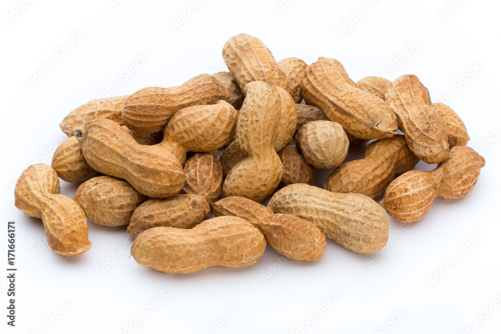 Dried peanuts on the white background. Dried peanuts on the white background.