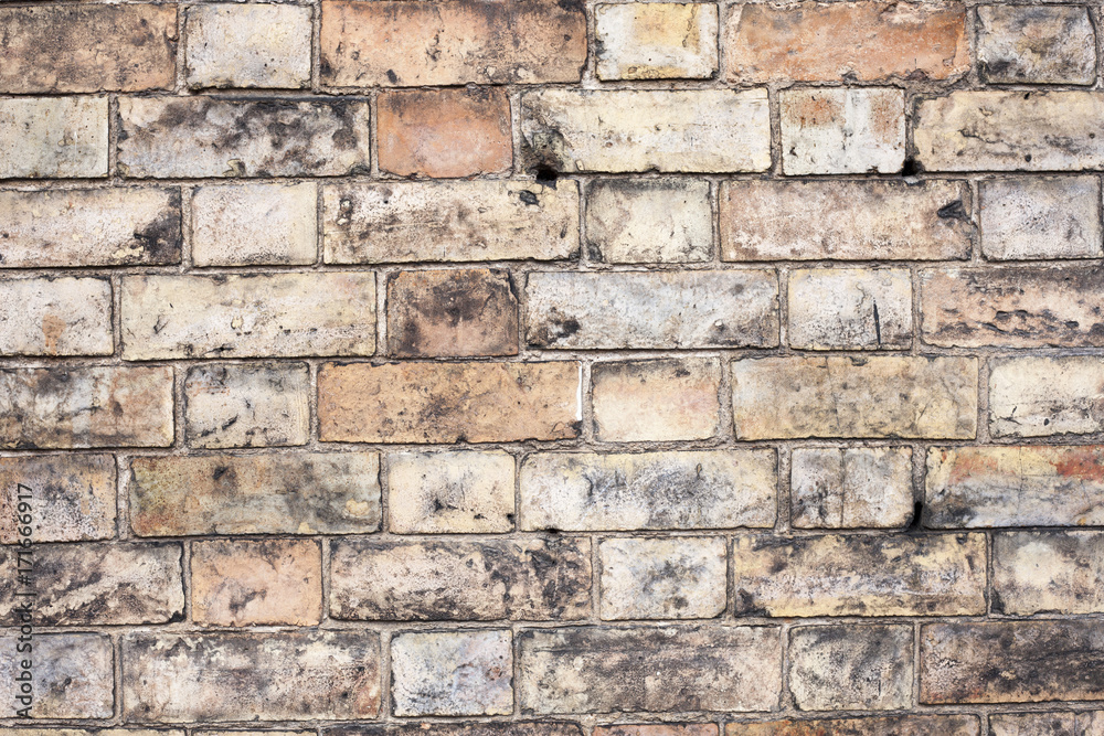 Brick wall background texture Brick wall background texture