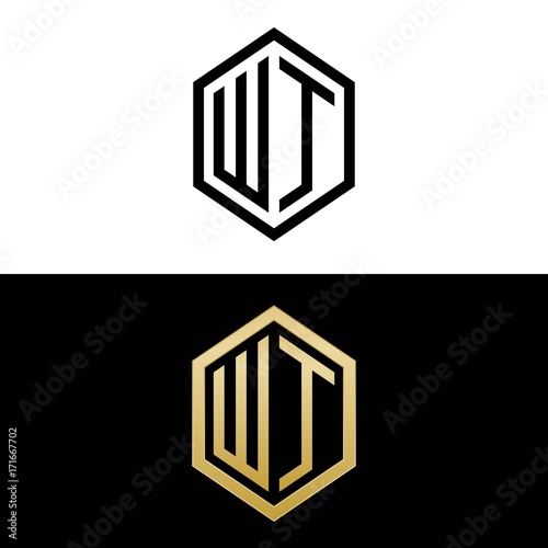 initial letters logo wt black and gold monogram hexagon shape vector