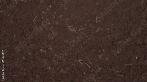 aerial shot of cultivated field