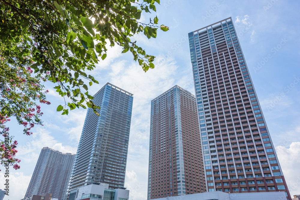 東京の都市風景 東京の都市風景