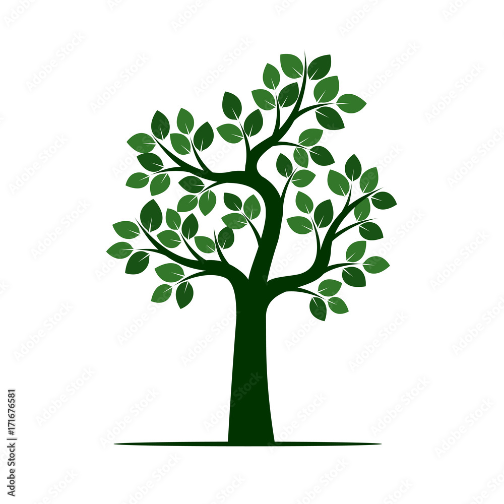 Green Tree with Leaves. Vector Illustration. Green Tree with Leaves. Vector Illustration.