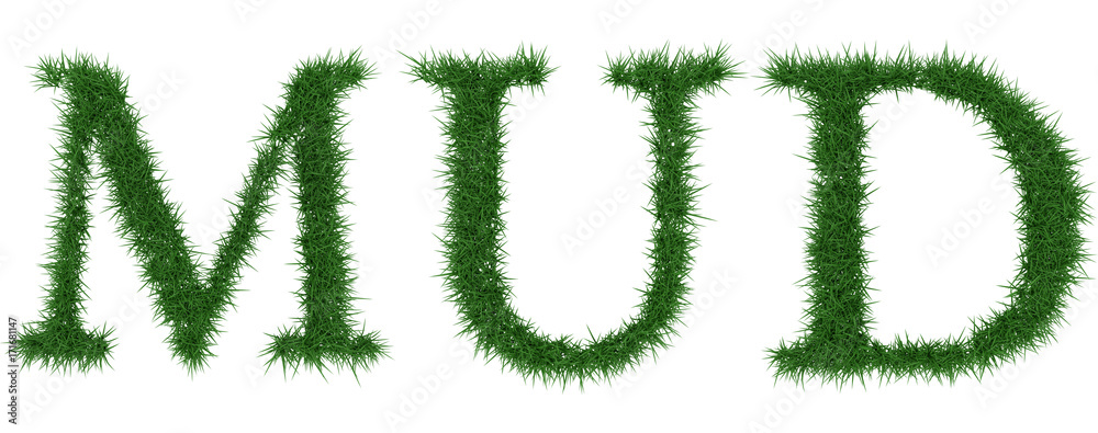 Mud - 3D rendering fresh Grass letters isolated on whhite background. Mud - 3D rendering fresh Grass letters isolated on whhite background.