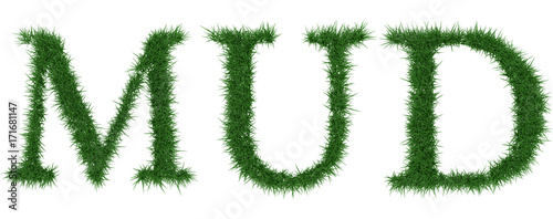 Mud - 3D rendering fresh Grass letters isolated on whhite background.