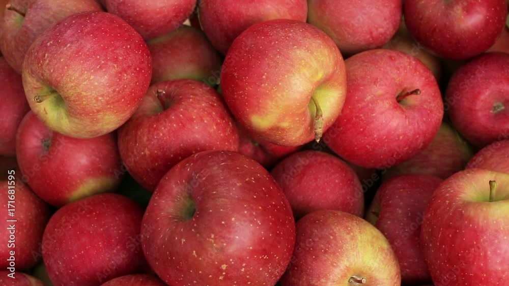 Farmer puts apples in cart. Farmer puts apples in cart.