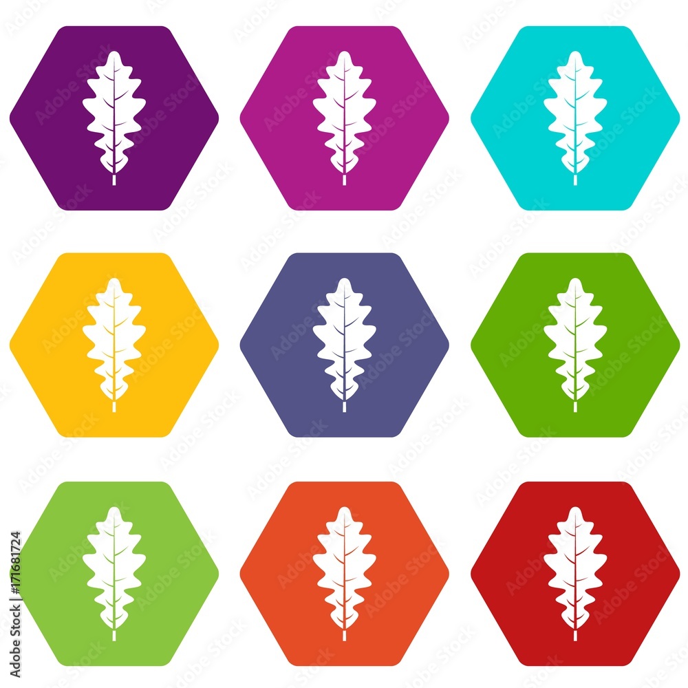 Oak leaf icon set color hexahedron Oak leaf icon set color hexahedron