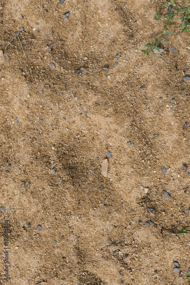 Fototapeta premium sand hintergrund struktur