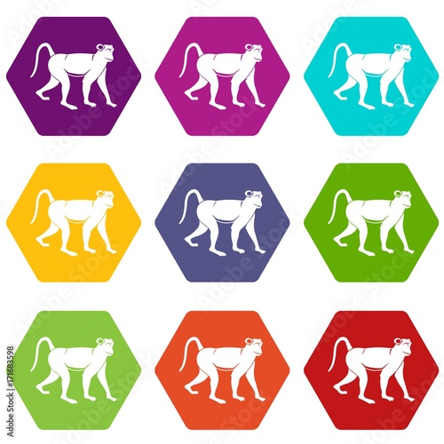 Monkey icon set color hexahedron