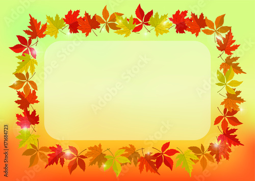 autumn leaves background 13