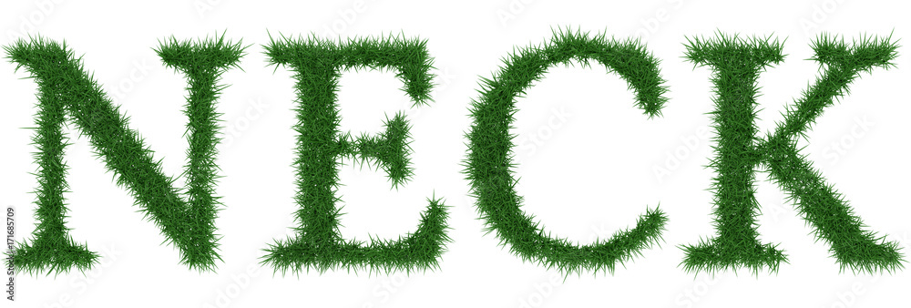 Neck - 3D rendering fresh Grass letters isolated on whhite background. Neck - 3D rendering fresh Grass letters isolated on whhite background.