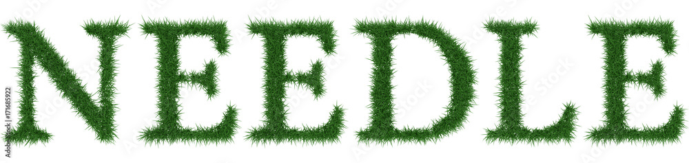 Needle - 3D rendering fresh Grass letters isolated on whhite background. Needle - 3D rendering fresh Grass letters isolated on whhite background.