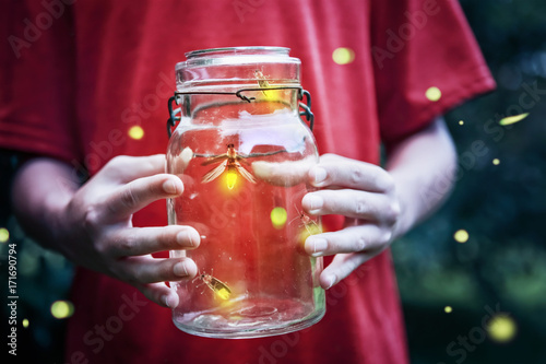 Φωτογραφία Fireflies in a jar