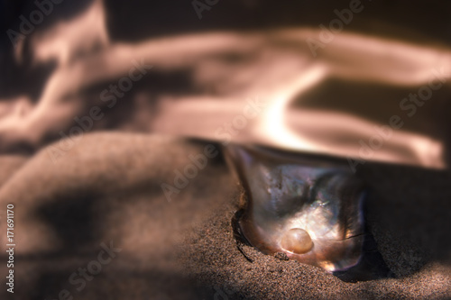 An unborn pearl in seashell, on a gray-brown sand.